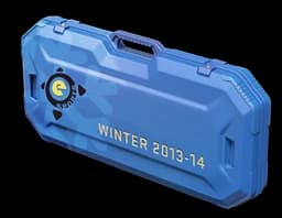 Case | eSports 2013 Winter Case