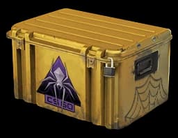 Case | Shattered Web Case