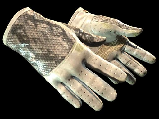 ★ Driver Gloves | King Snake, Field-Tested