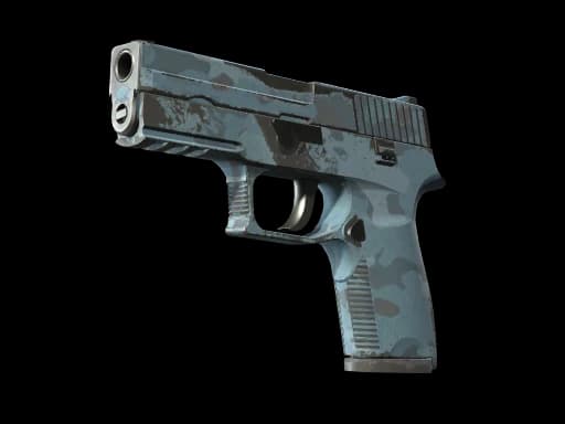 P250 | Forest Night, Field-Tested