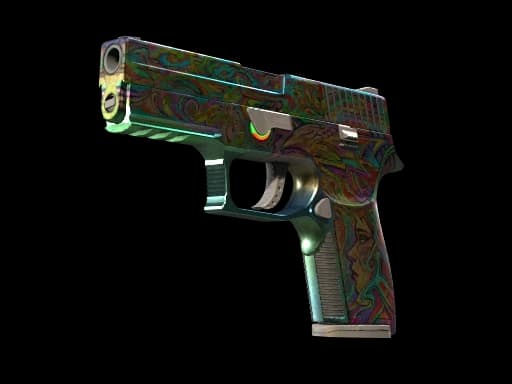 P250 | Visions, Field-Tested