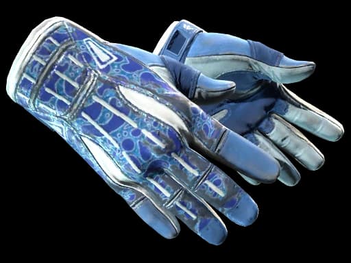 ★ Sport Gloves | Amphibious, Field-Tested