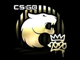 Gold Sticker | FURIA | 2020 RMR